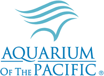 things to do - aquarium of the pacific