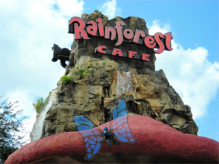 places to eat in Orlando - The Rain Forest Cafe